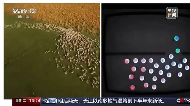 从空中递剪刀到集群智能 无人机正打开具身智能无限想象(图7)