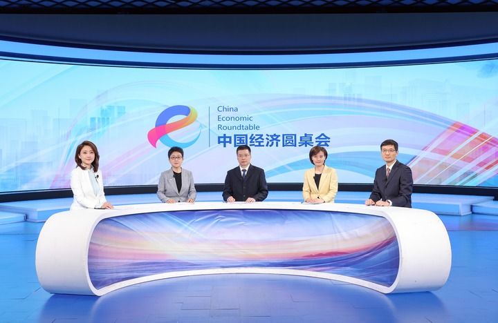 中国经济圆桌会共话科技创新与产业创新深度融合(图3)